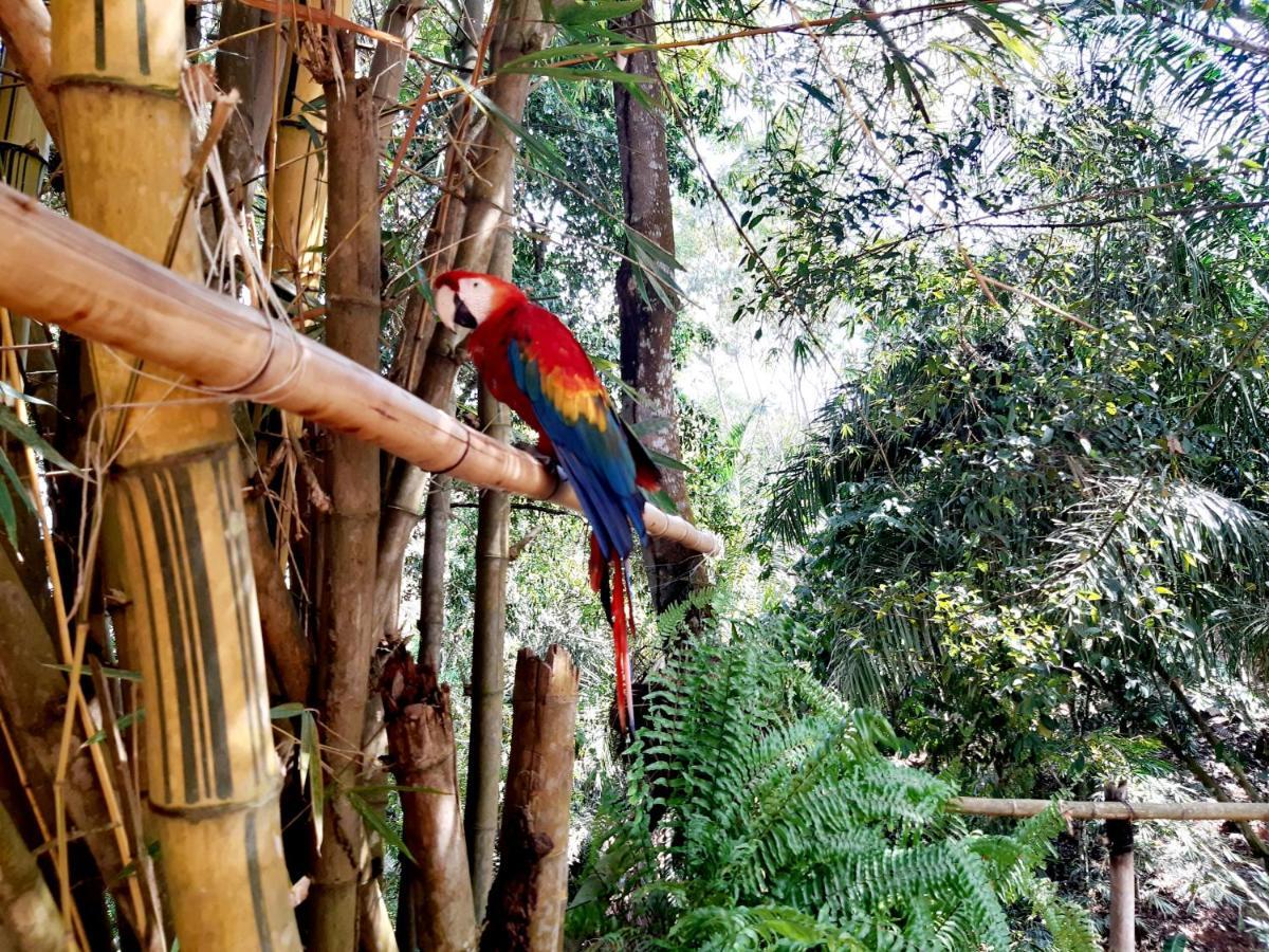 Casa Campo Emaus Caucasia Eksteriør billede